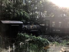 -上海老站(徐家汇店)