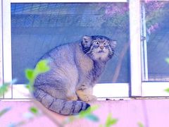 -青藏高原野生动物园