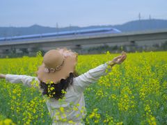 -光明小镇欢乐田园