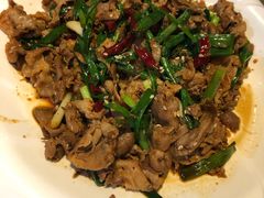 孜然羊肉-东北农家饺子村(昌平路店)