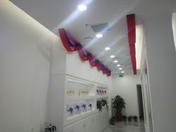 -莱可美科技美肤