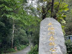 -普洱太阳河森林公园