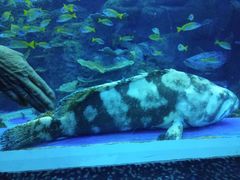 -成都浩海立方海洋公园