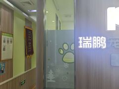 -瑞鹏宠物医院·宠保定点·心脏科·内科(御桥分院)