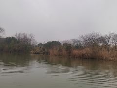 -西溪国家湿地公园