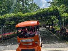 -东平国家森林公园