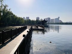 -莲花池公园