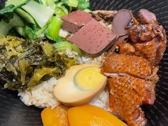 -MR鹅外