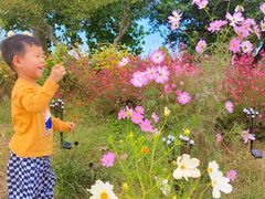 -圣露庄园·露营·烤肉·亲子