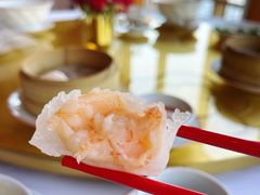 -咖啡苑 - 蔚藍夏日限定主题(永利皇宫店)