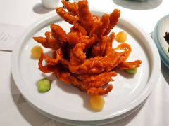 珊瑚鱼-二十四单 淮扬新味