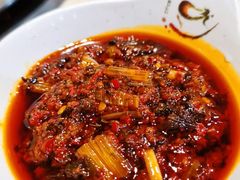 狗酱-英子补身汤(海兰路店)
