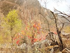 -叠溪松坪沟景区