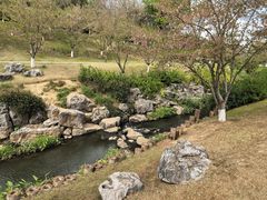 -羊山湖公园