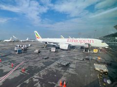 -纽瓦克自由国际机场