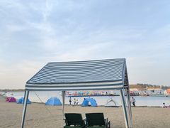 -呼兰河口湿地公园