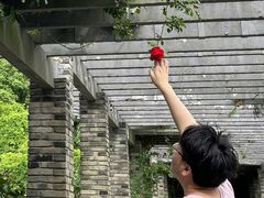 -龙寺生态园
