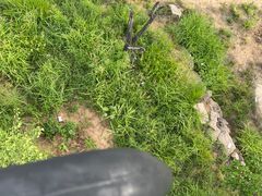 -磬锤峰森林公园