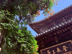-洛阳白马寺