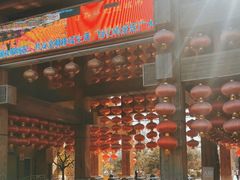 -南宫五洲植物乐园