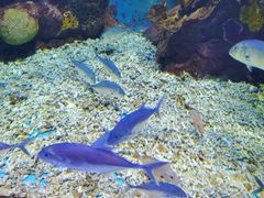 -多彩贵州城极地海洋世界