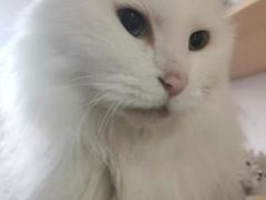 -宠颐生中康贝怡动物医院