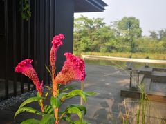 -木守西溪溪隐餐厅