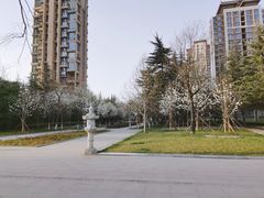 -木塔寺遗址生态公园