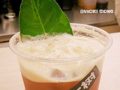 大菠萝-村口大树(长乐路店)