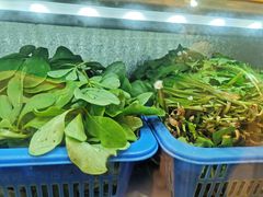 -老味道1992(武当山店)