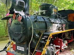 -五营红松林海景区