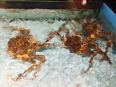 -尚海豆捞(乐虹坊店)