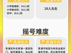 -菠萝国际教育专注Alevel·IGCSE·IB·AP·托福雅思培训辅导(静安校区)