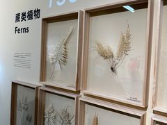 -昆明植物园