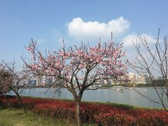 -望海·帆船主题咖啡厅•品茗下午茶(石湖景区店)