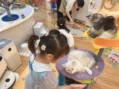 -COLOR PETS 撸猫馆·购猫·猫咖(长风大悦城店)
