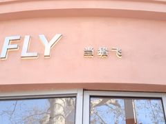 -WHEN PIGS FLY当猪飞