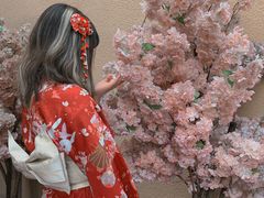 -重庆南山海昌汤都