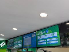 -圣淘沙天际线斜坡滑车