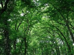 -西溪南古村落景区