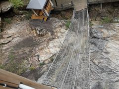 -天门沟九州驿站树上汤泉