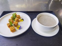 -诗安月子中心(建华南大街店)