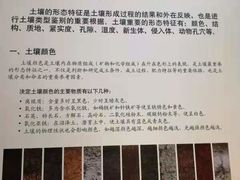 -中国农业博物馆