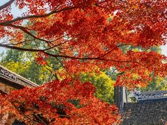 -惠山古镇·寄畅园