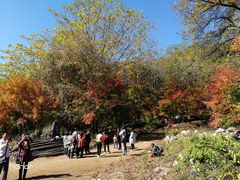 -参仙谷生态旅游度假区