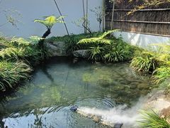 -凤凰山斑鱼馆(恭城店)