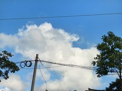 -眼镜哥浦江夜宵大本营