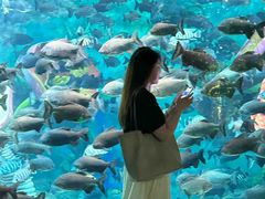 -常州海昌海洋探索馆