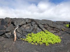 -夏威夷火山国家公园