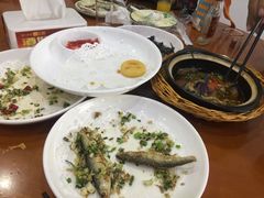 -全乐鱼馆·淳牌有机鱼直营店